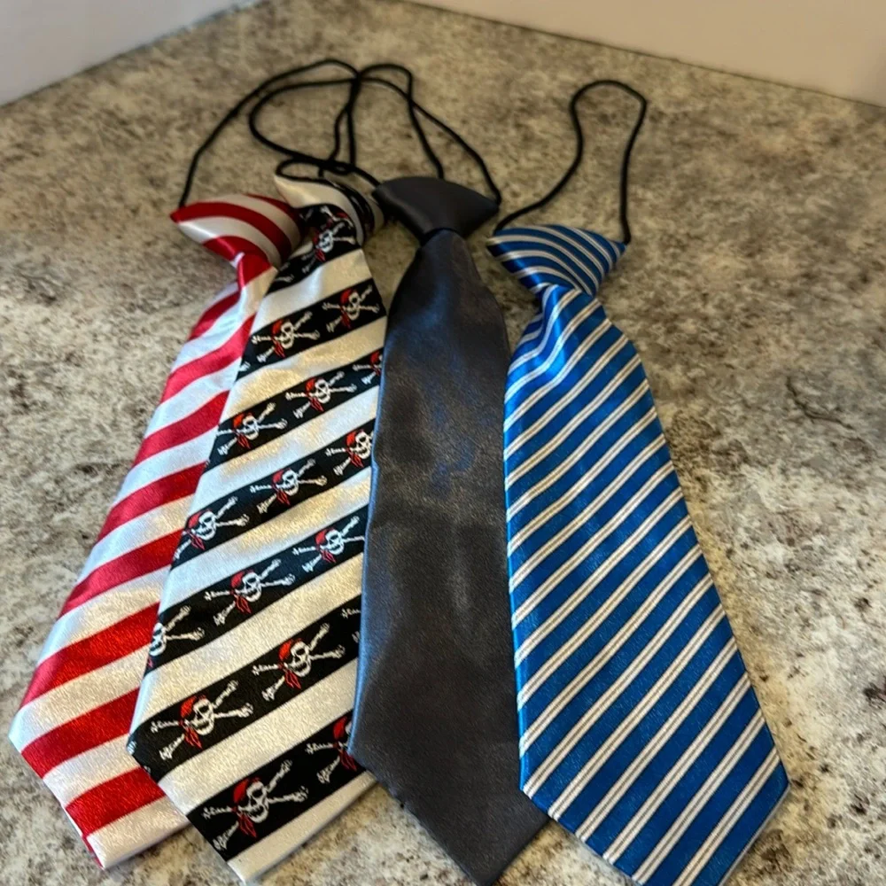 NWOT 10 inch unisex ties set of 4. Attached elastic cord goes under the collar.